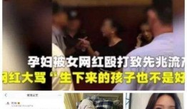 网红打架大事件爆料视频,揭秘网络暴力背后的真相