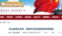 钦州爆料新闻最新消息,详情揭晓”